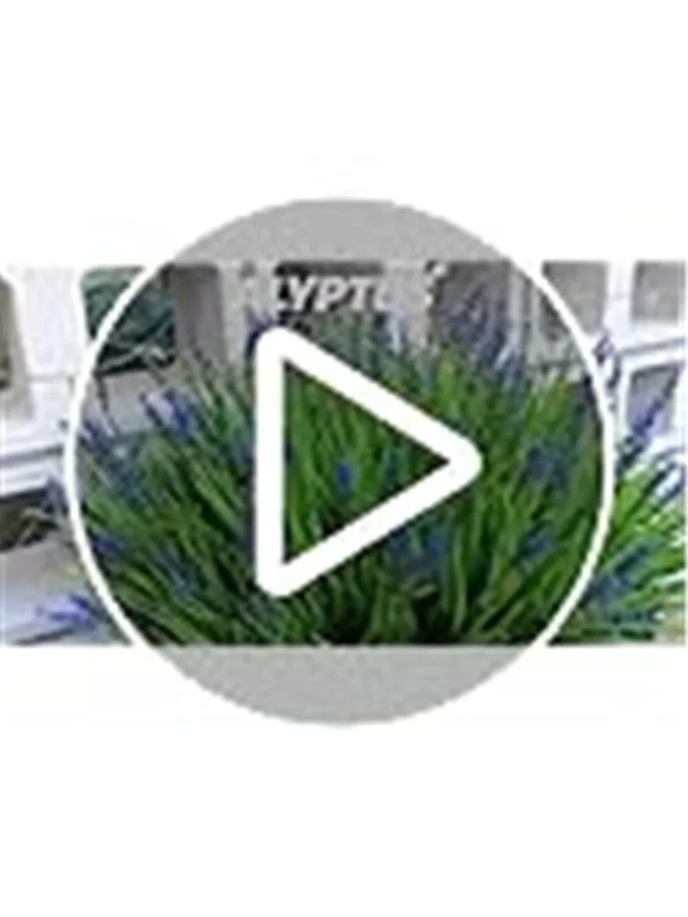 Artificial Plants Outdoor Fake Monkey Grass with Flowers for Pot UV Resistant